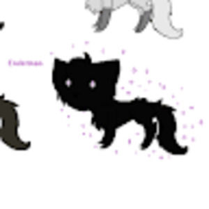 Meet your Posher, Kitty